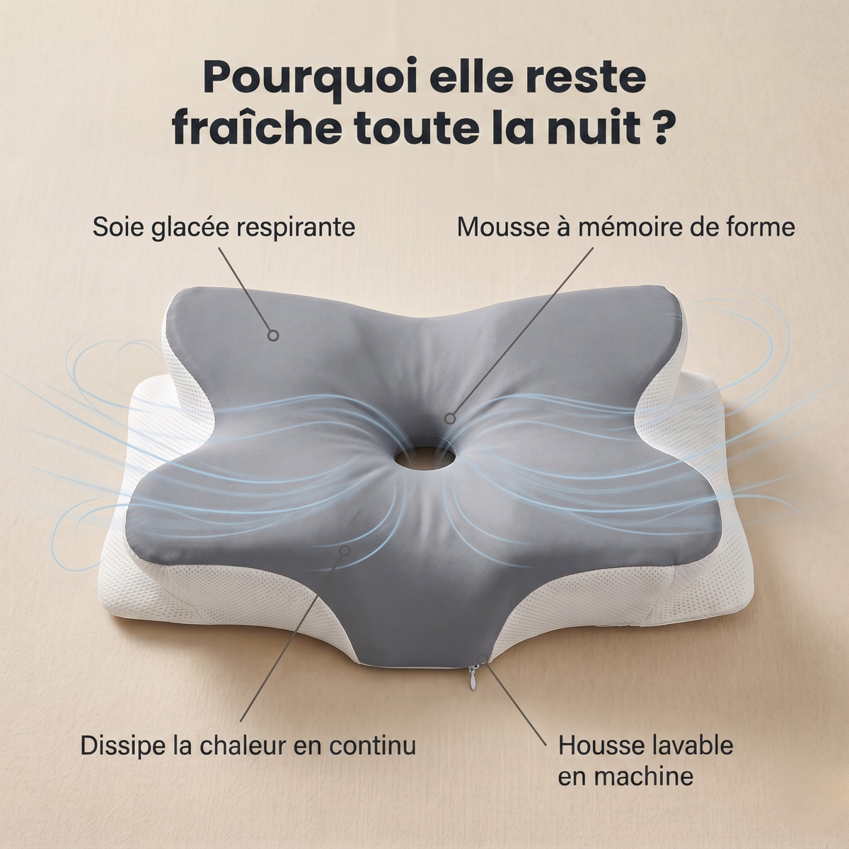 Oreiller ergonomique rafraîchissant soie glacée avec zones de soutien morphologique annotées